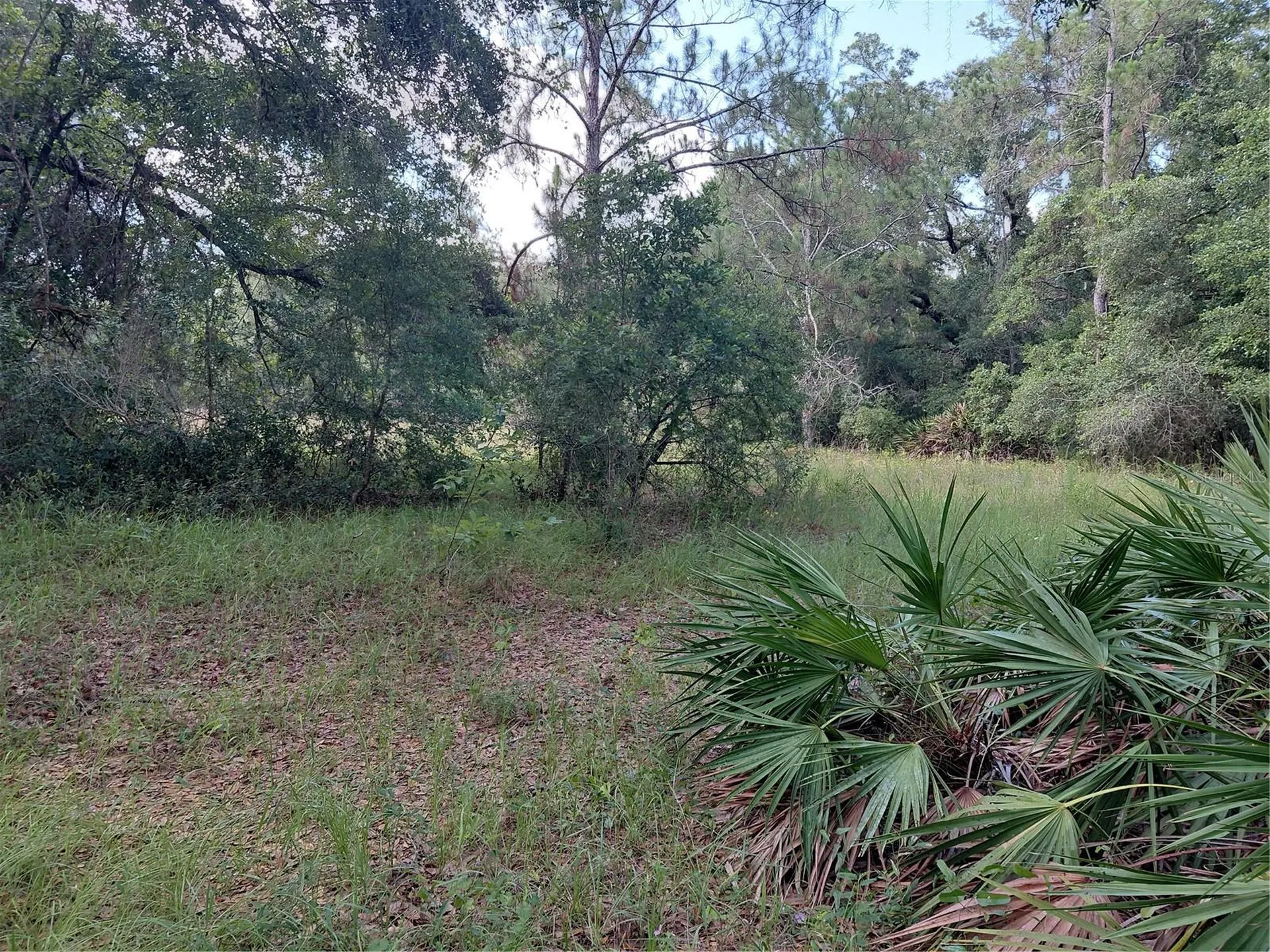 Pinon Drive Webster FL 33597