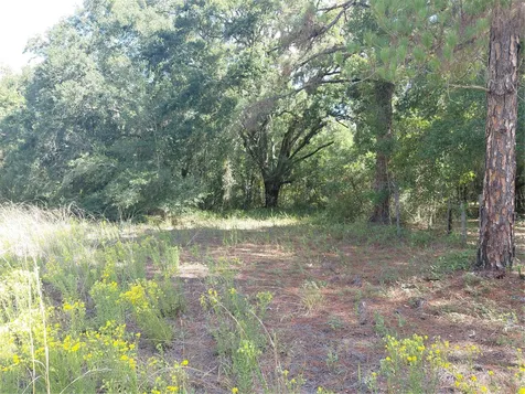 Pinon Drive Webster FL 33597
