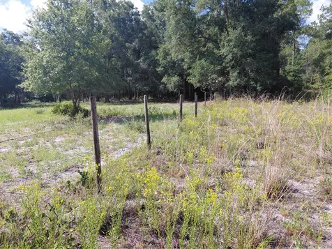Pinon Drive Webster FL 33597