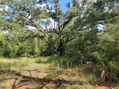 Pinon Drive Webster FL 33597