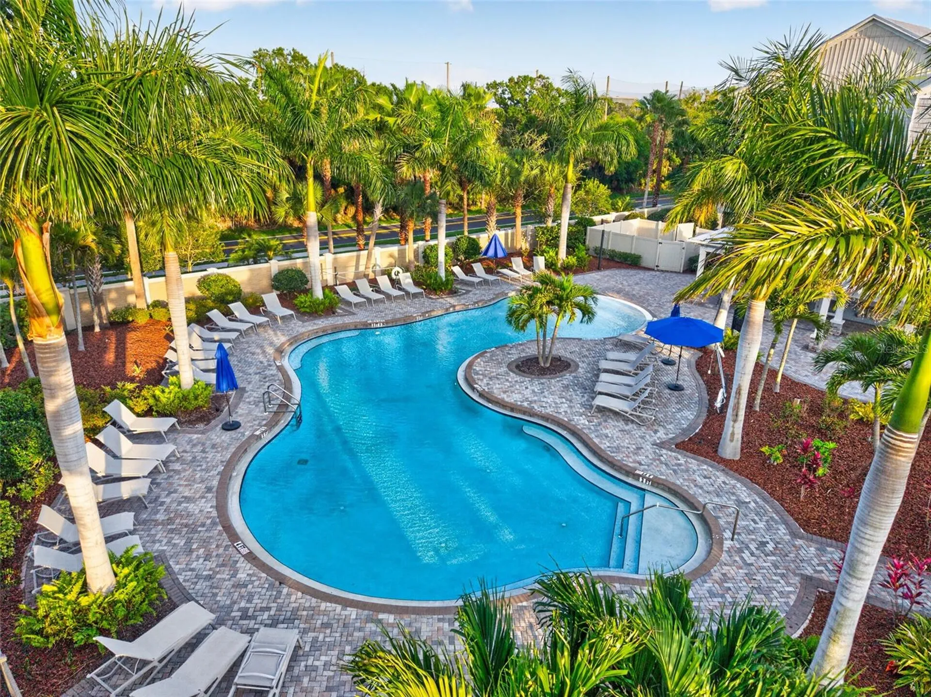 4069 Rocky Shores Drive Tampa FL 33634
