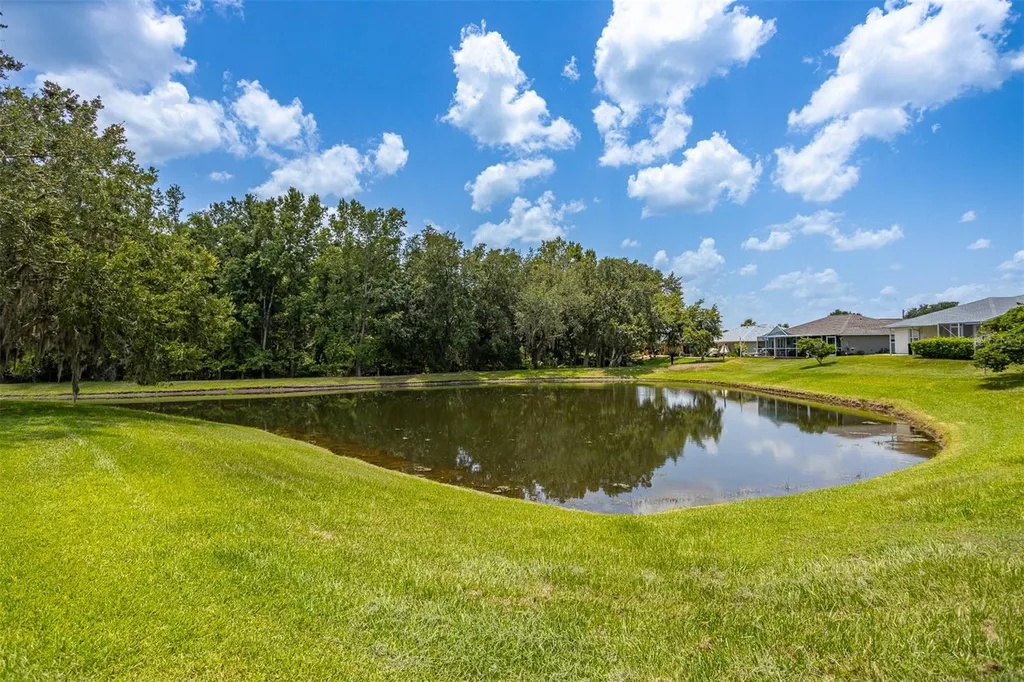 29312 Marker Loop San Antonio FL 33576