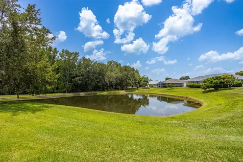 29312 Marker Loop San Antonio FL 33576