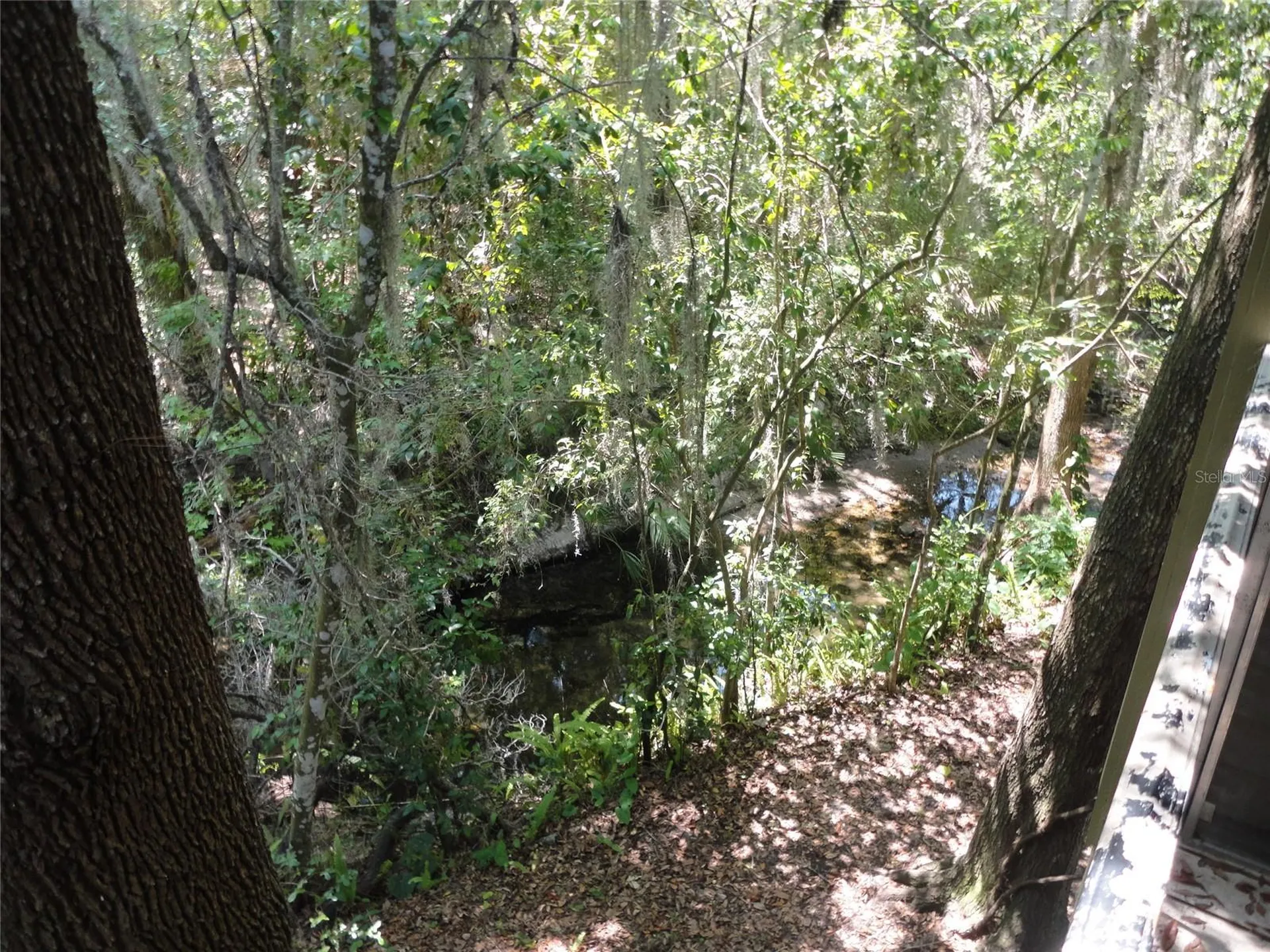1015 SW 9th Street Gainesville FL 32601
