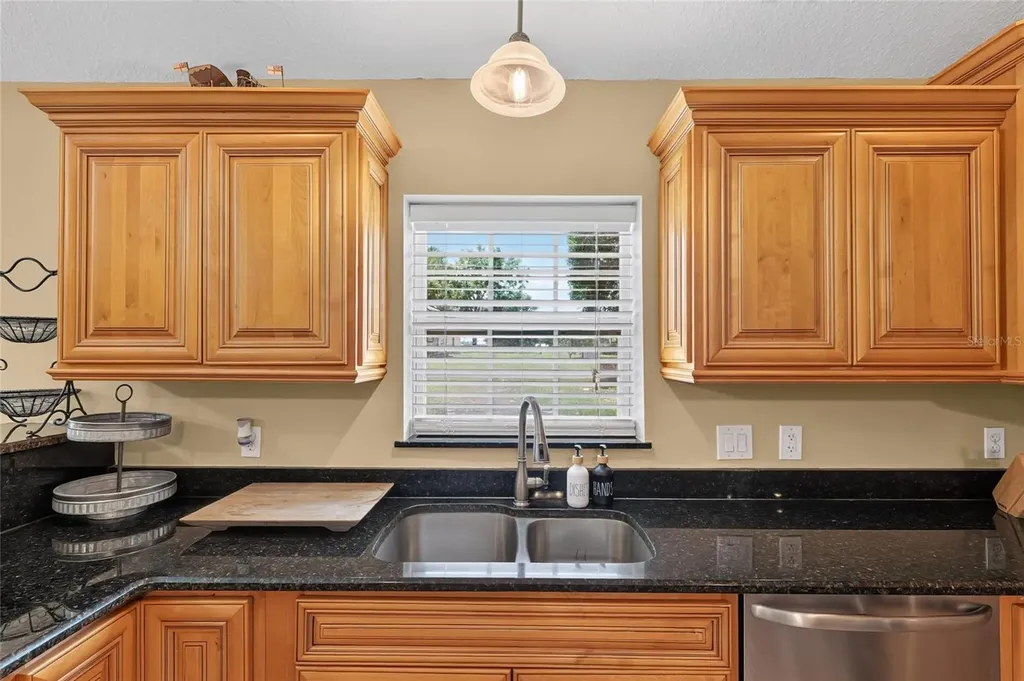 3830 Griffin View Drive Lady Lake FL 32159