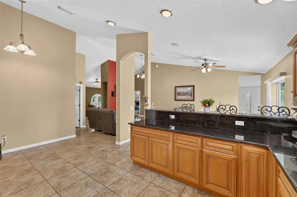 3830 Griffin View Drive Lady Lake FL 32159
