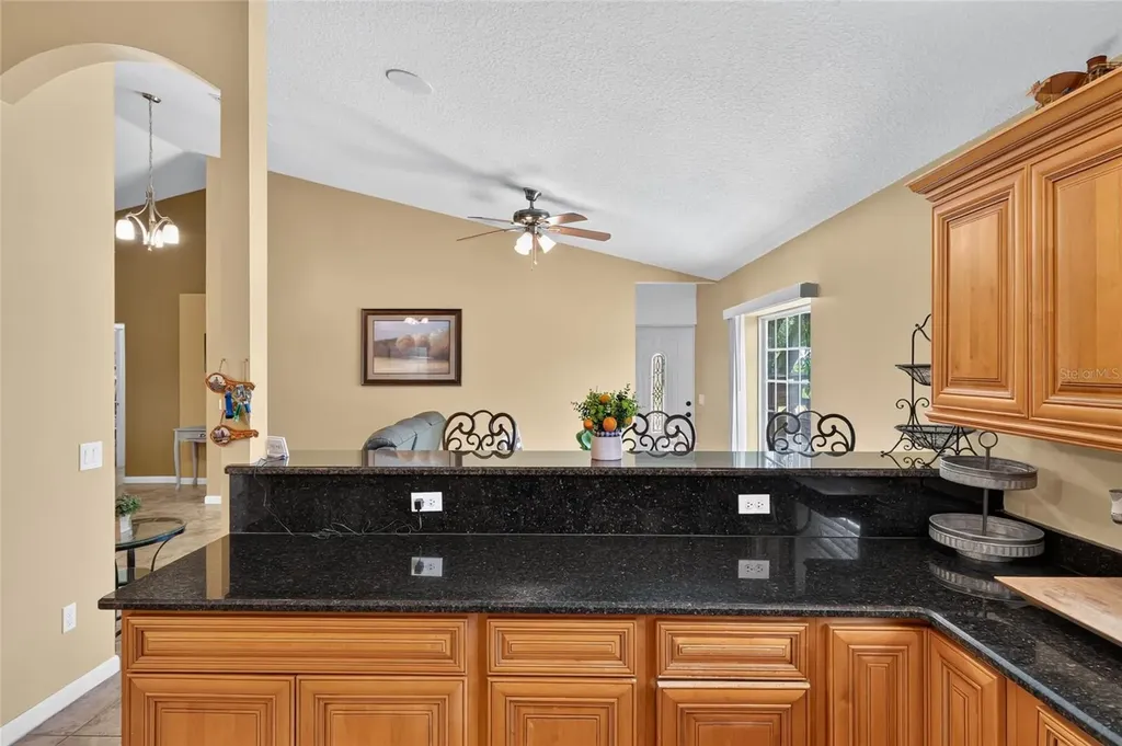 3830 Griffin View Drive Lady Lake FL 32159