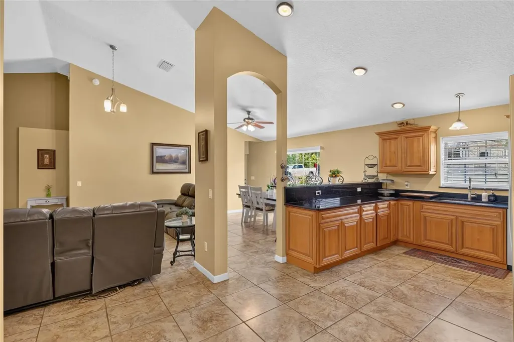3830 Griffin View Drive Lady Lake FL 32159
