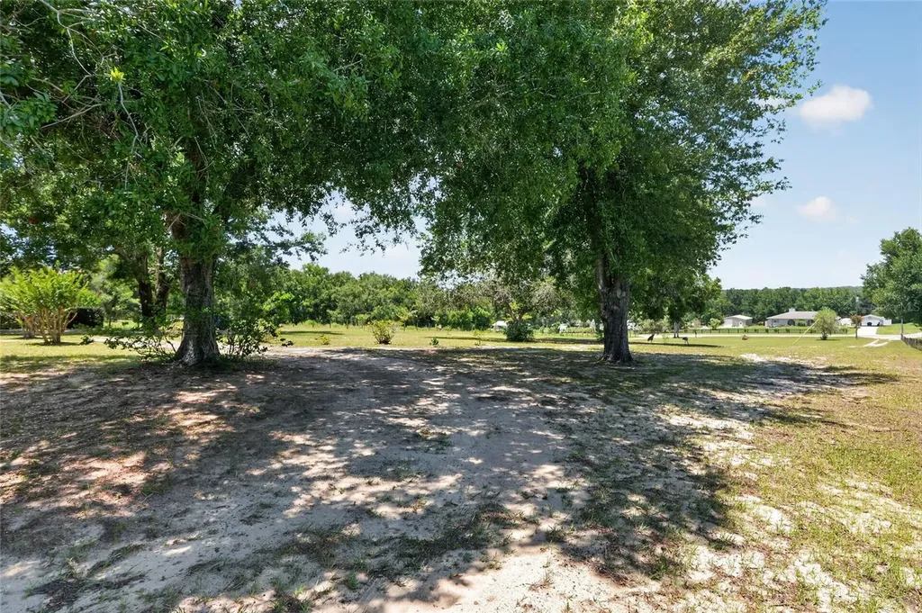 3830 Griffin View Drive Lady Lake FL 32159