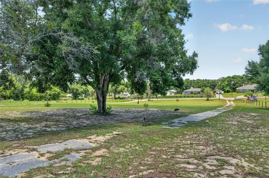 3830 Griffin View Drive Lady Lake FL 32159
