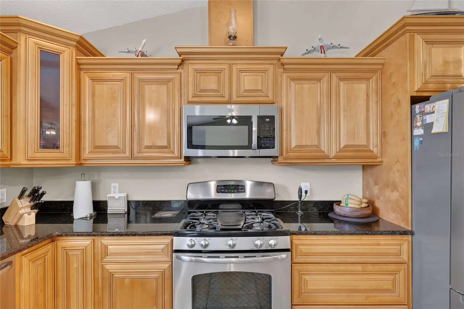 3830 Griffin View Drive Lady Lake FL 32159