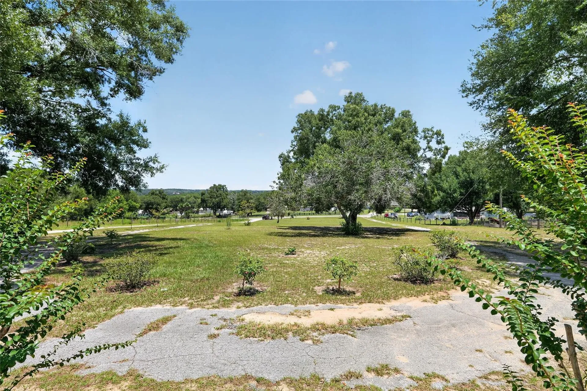 3830 Griffin View Drive Lady Lake FL 32159