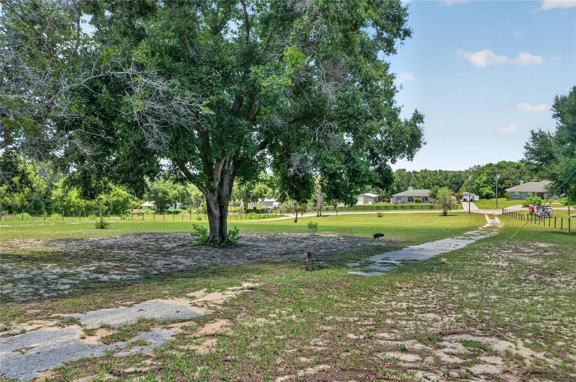 3830 Griffin View Drive Lady Lake FL 32159
