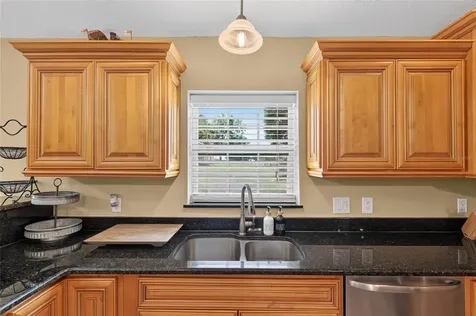 3830 Griffin View Drive Lady Lake FL 32159