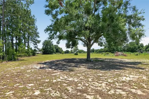 3830 Griffin View Drive Lady Lake FL 32159