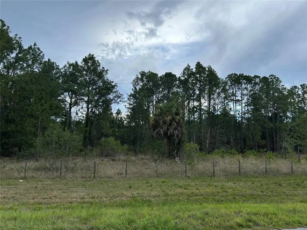 0000 SE 60th Avenue Morriston FL 32668