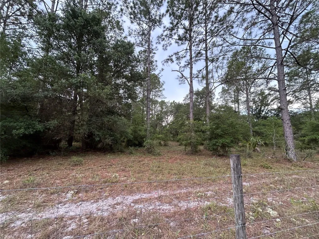 0000 SE 60th Avenue Morriston FL 32668