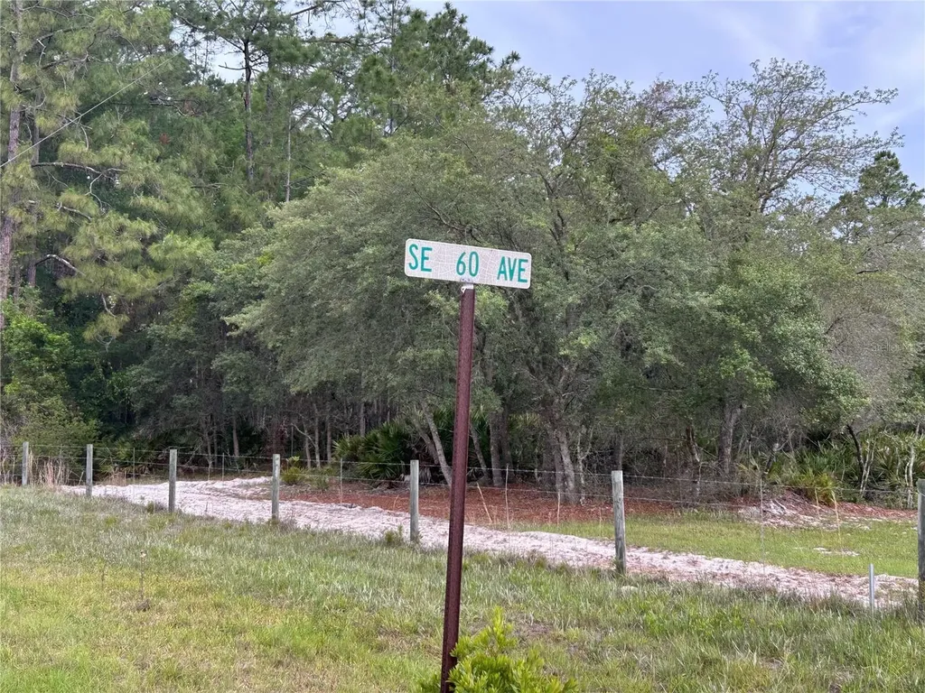 0000 SE 60th Avenue Morriston FL 32668