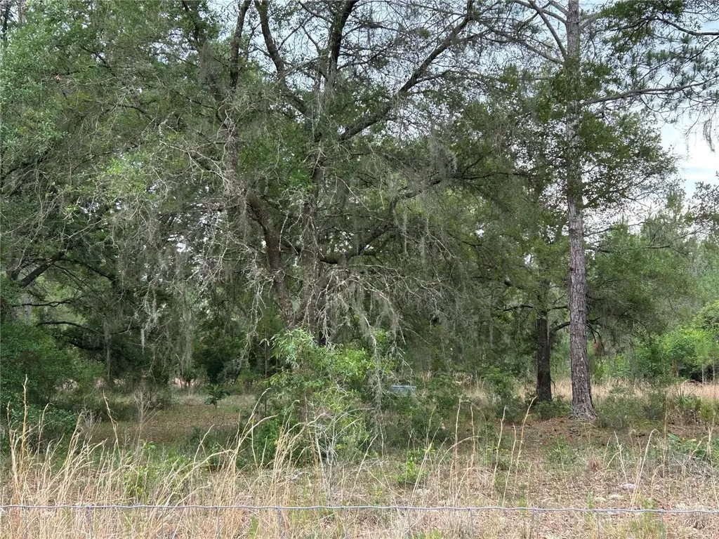 0000 SE 60th Avenue Morriston FL 32668