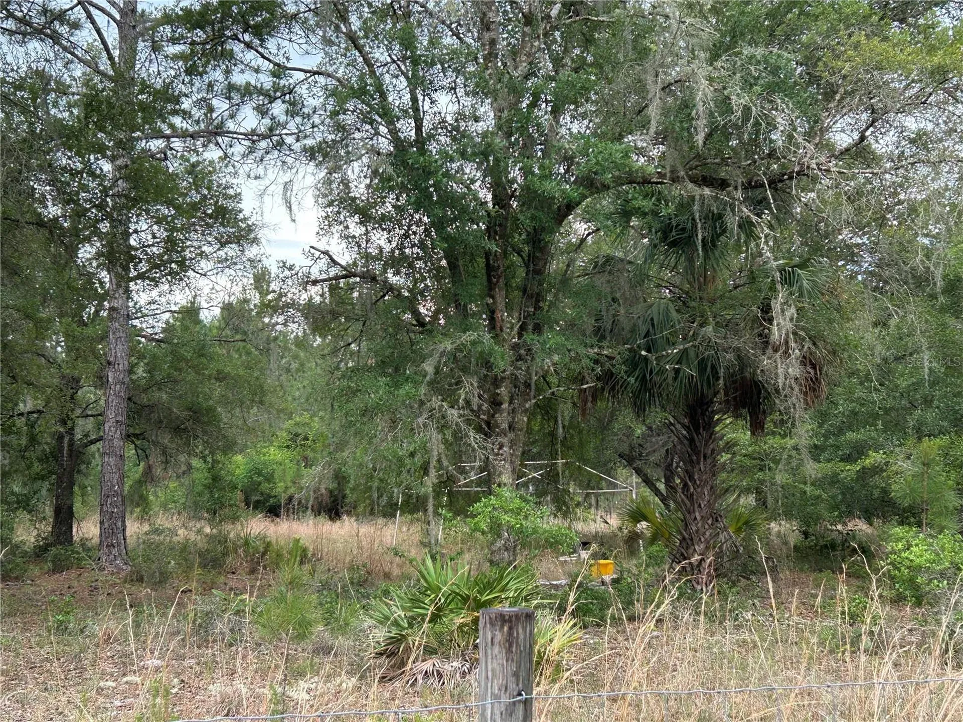 0000 SE 60th Avenue Morriston FL 32668