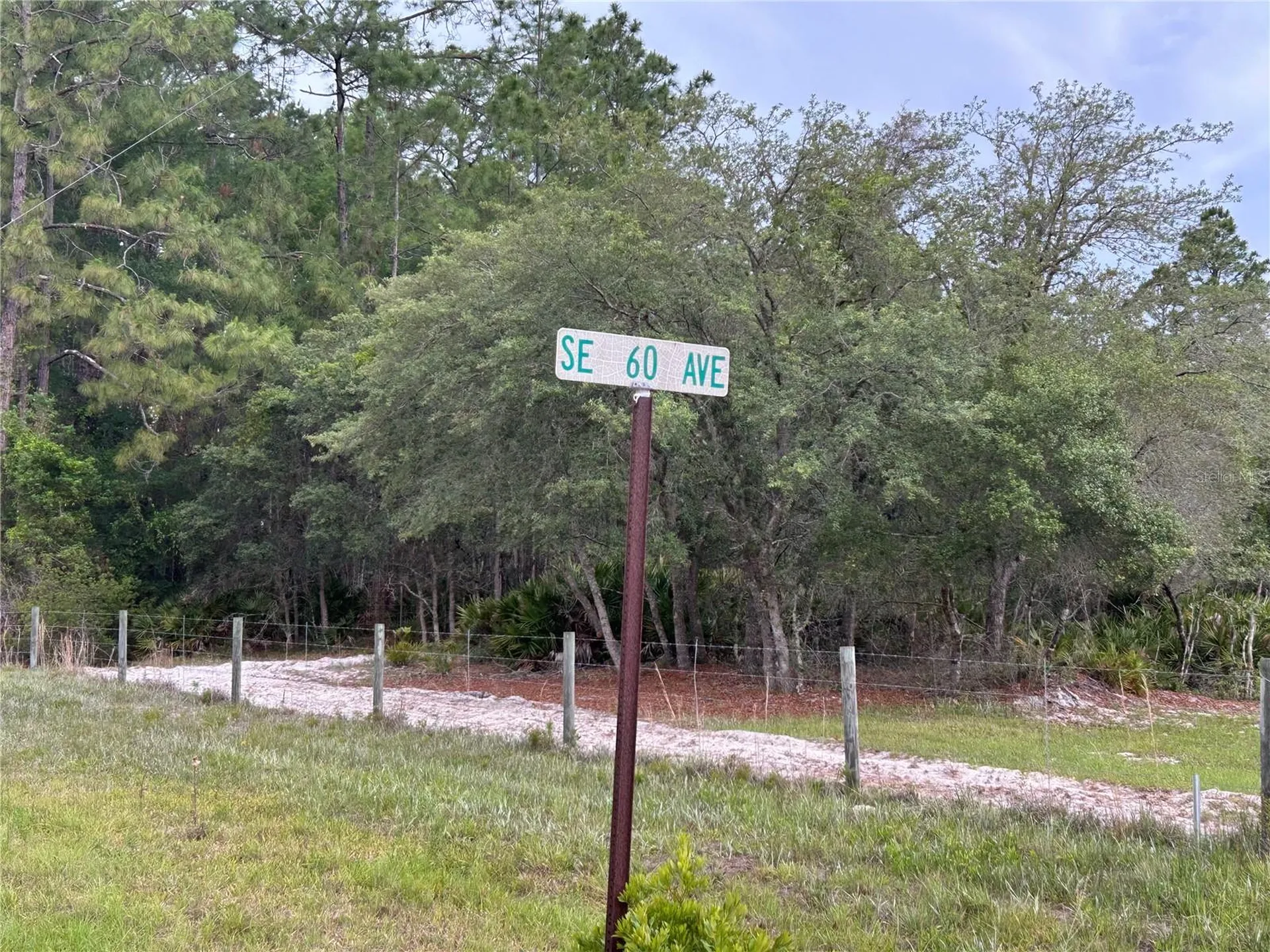 0000 SE 60th Avenue Morriston FL 32668