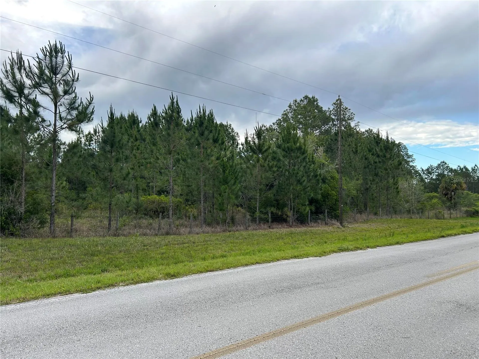 0000 SE 60th Avenue Morriston FL 32668