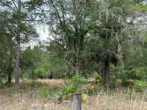 0000 SE 60th Avenue Morriston FL 32668