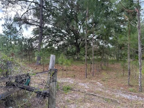 0000 SE 60th Avenue Morriston FL 32668