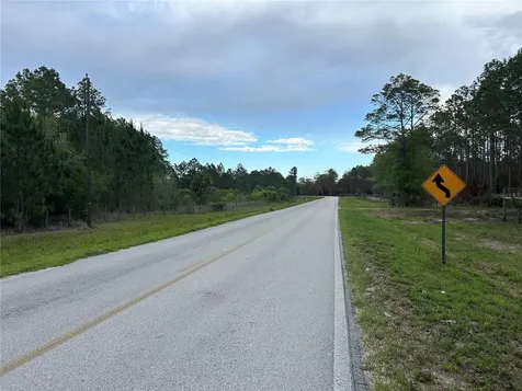 0000 SE 60th Avenue Morriston FL 32668