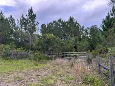 0000 SE 60th Avenue Morriston FL 32668