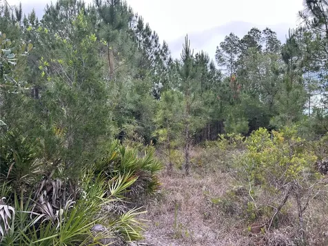 0000 SE 60th Avenue Morriston FL 32668