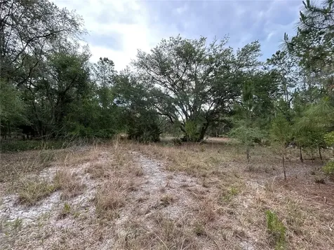 0000 SE 60th Avenue Morriston FL 32668