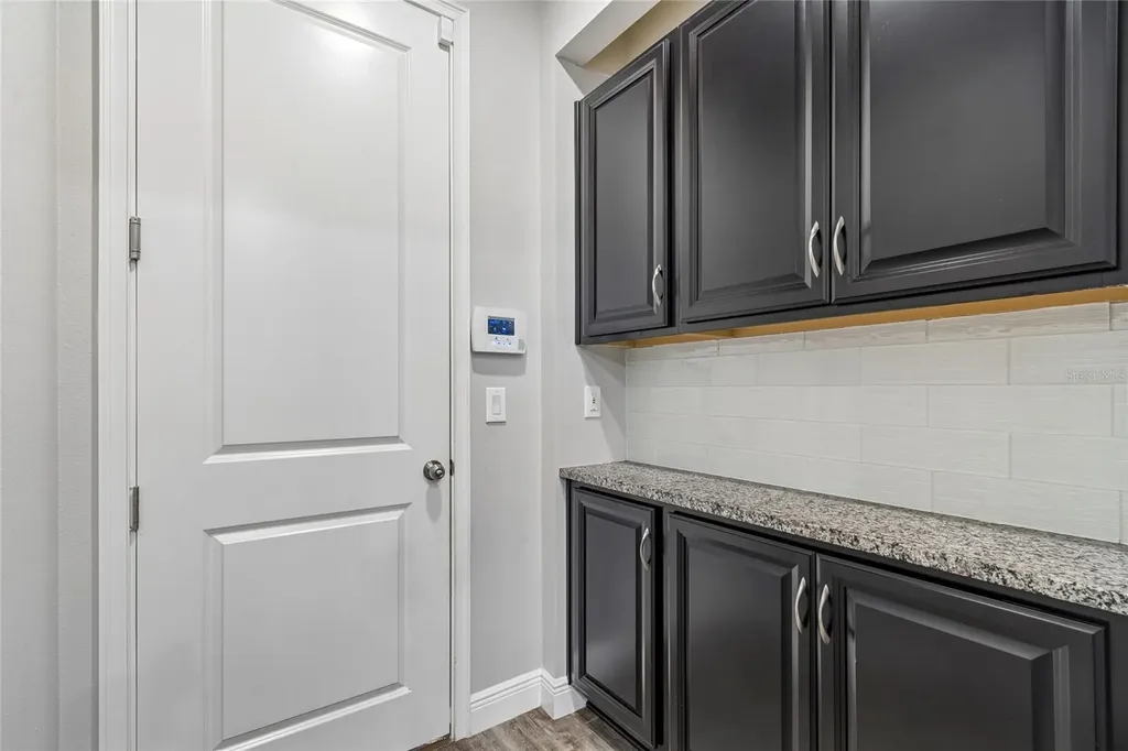 17852 Althea Blue Place Lutz FL 33558
