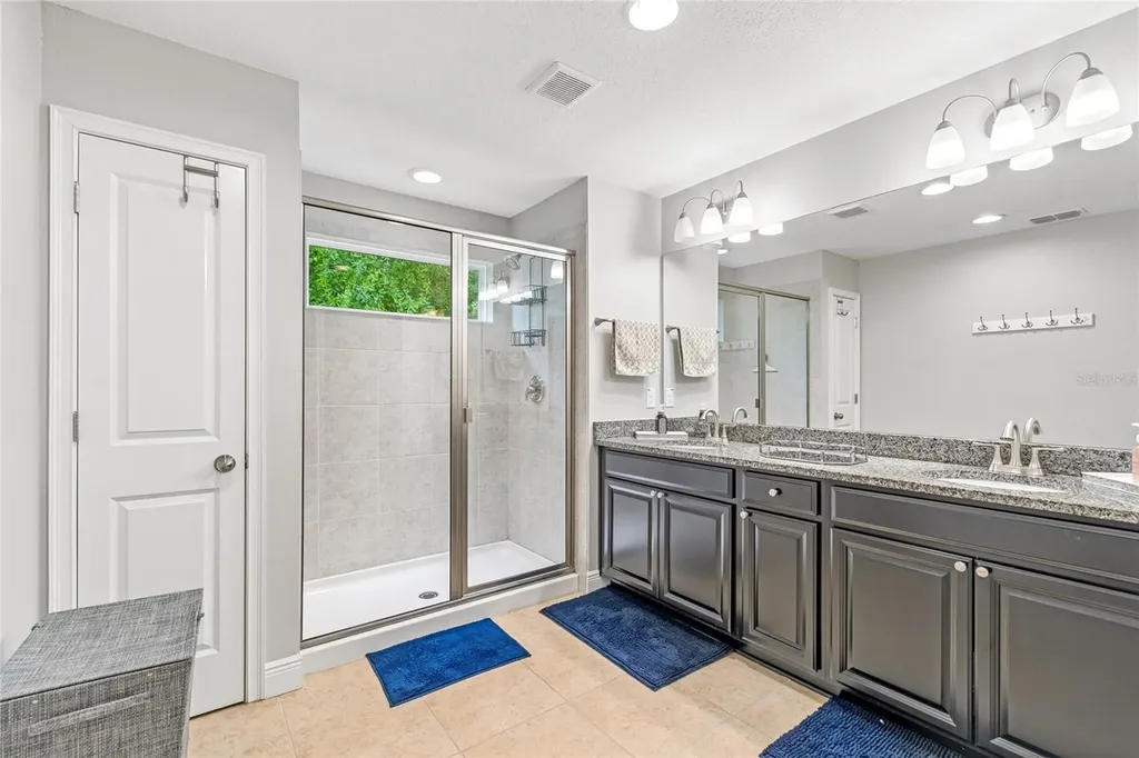 17852 Althea Blue Place Lutz FL 33558