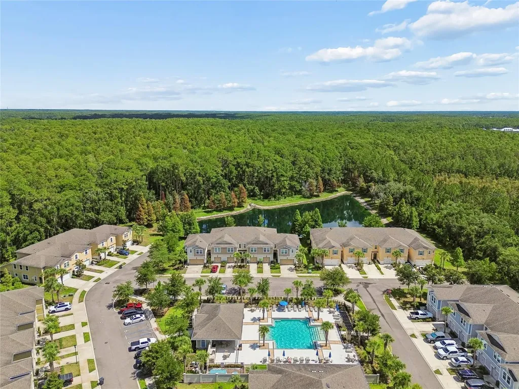17852 Althea Blue Place Lutz FL 33558