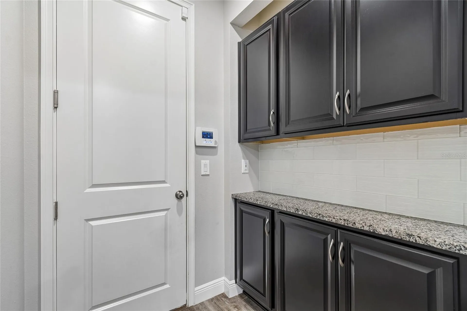 17852 Althea Blue Place Lutz FL 33558