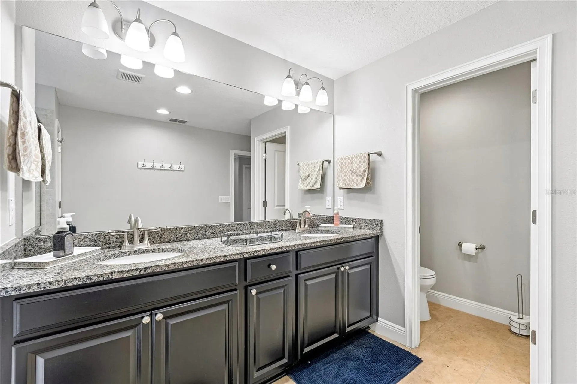 17852 Althea Blue Place Lutz FL 33558
