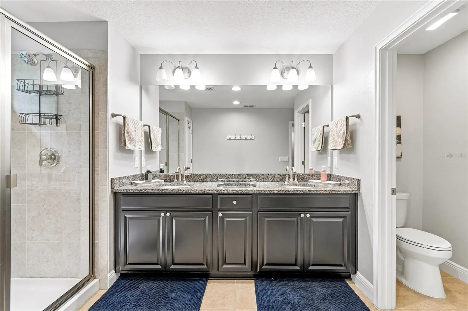 17852 Althea Blue Place Lutz FL 33558