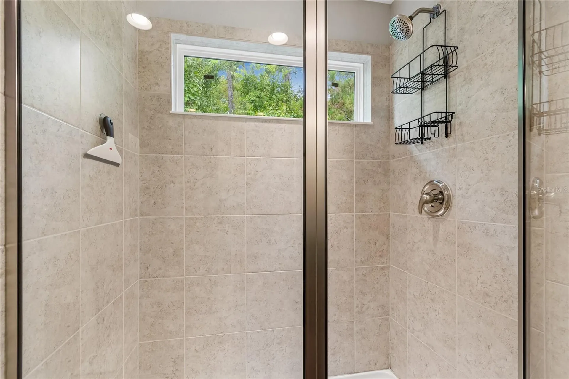17852 Althea Blue Place Lutz FL 33558