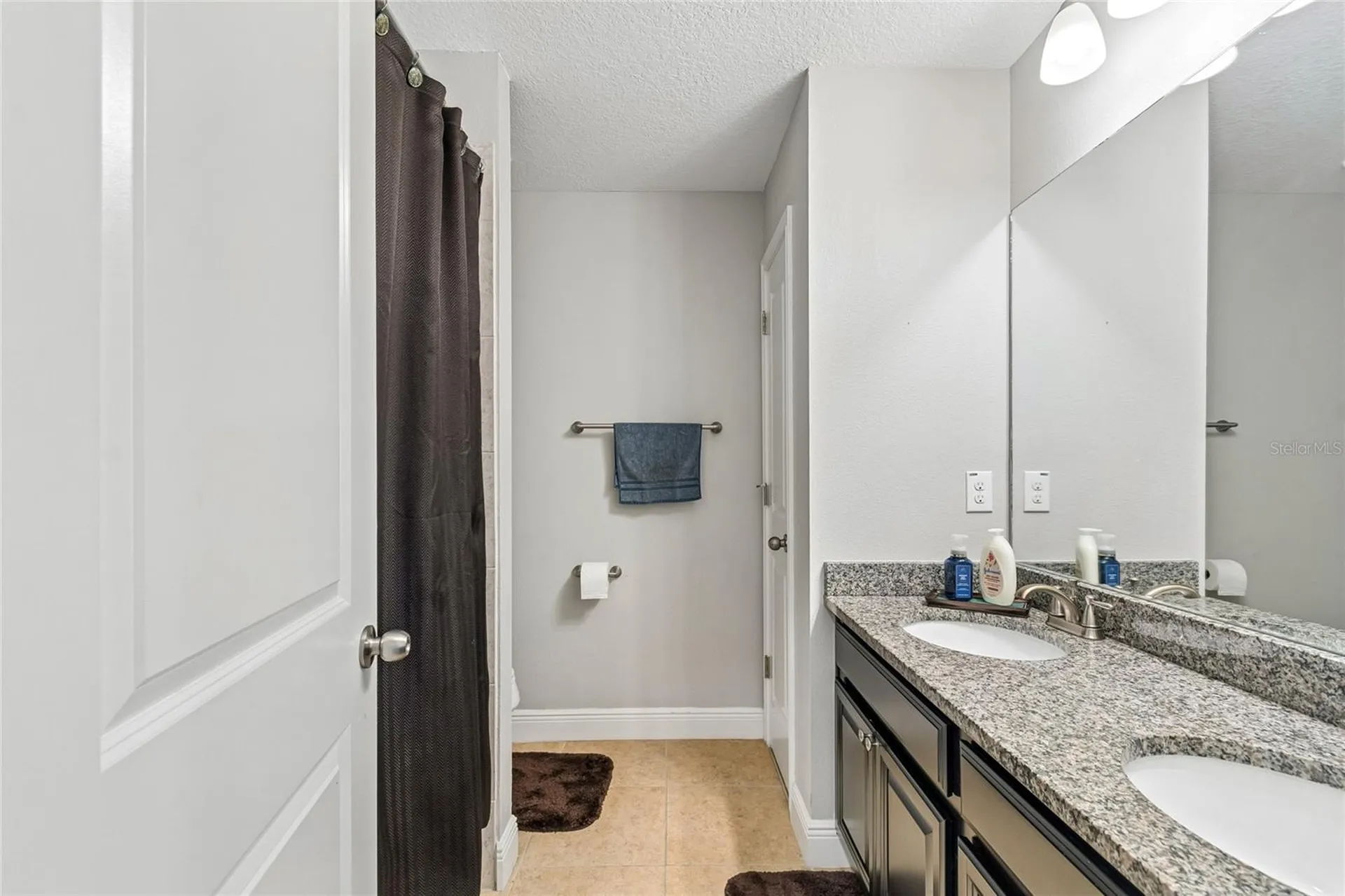 17852 Althea Blue Place Lutz FL 33558