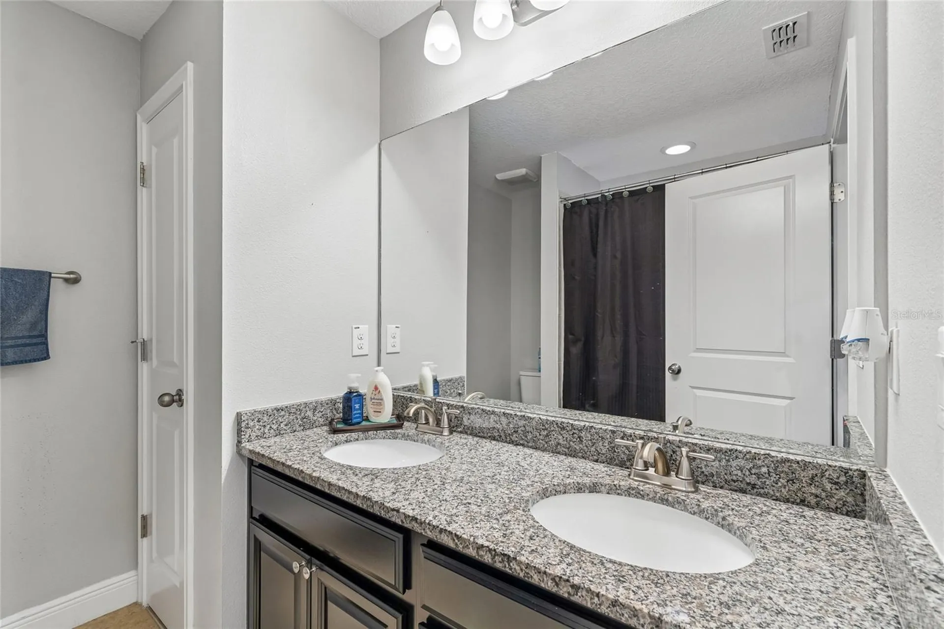 17852 Althea Blue Place Lutz FL 33558