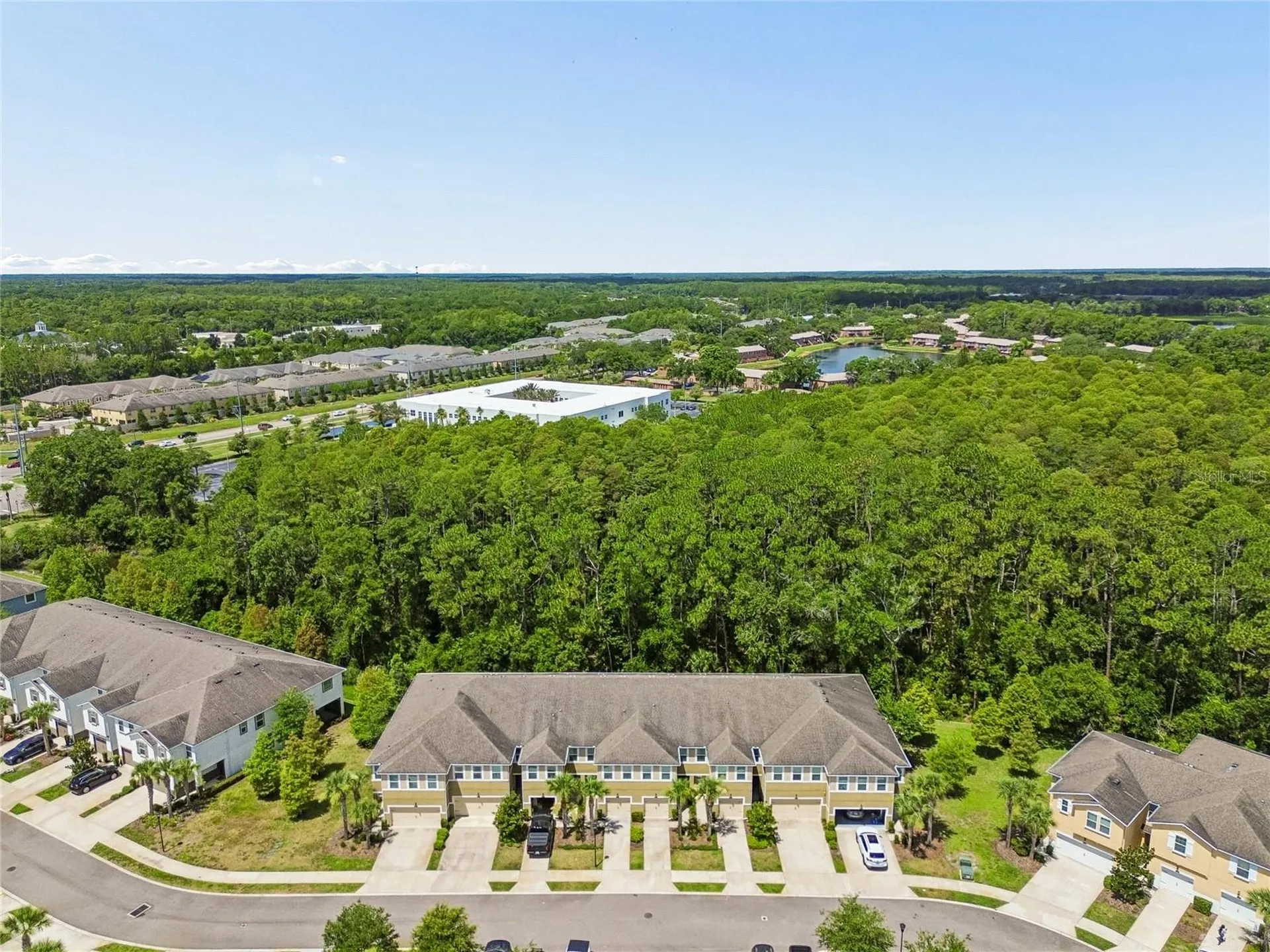 17852 Althea Blue Place Lutz FL 33558