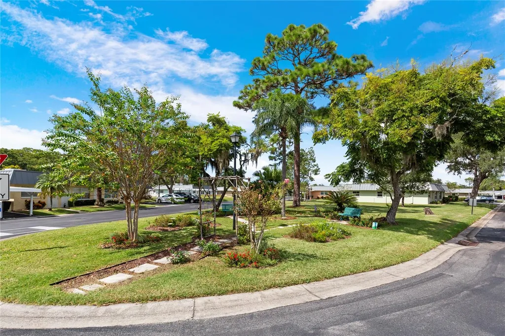 11730 Carissa Lane New Port Richey FL 34654