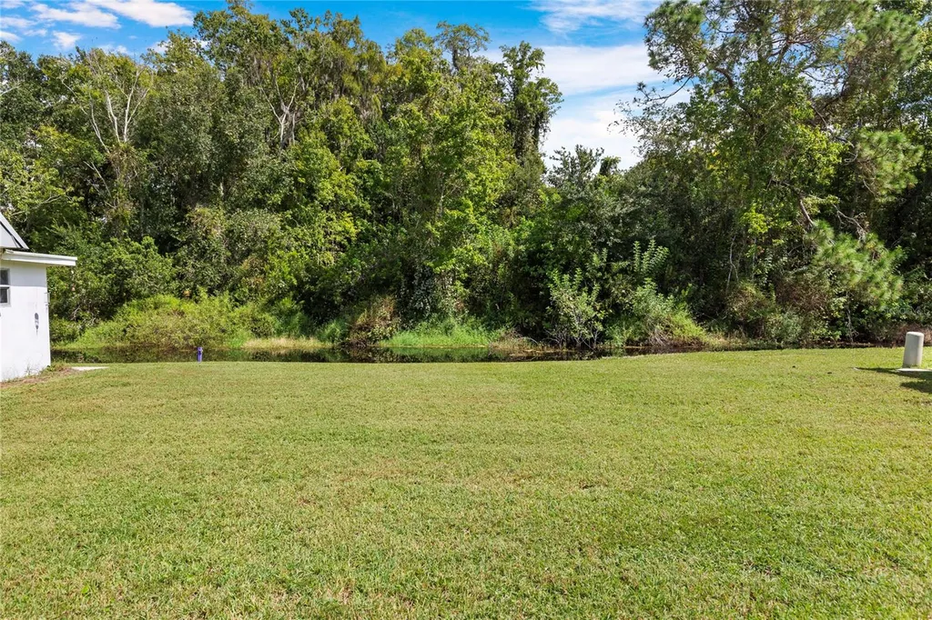 11730 Carissa Lane New Port Richey FL 34654