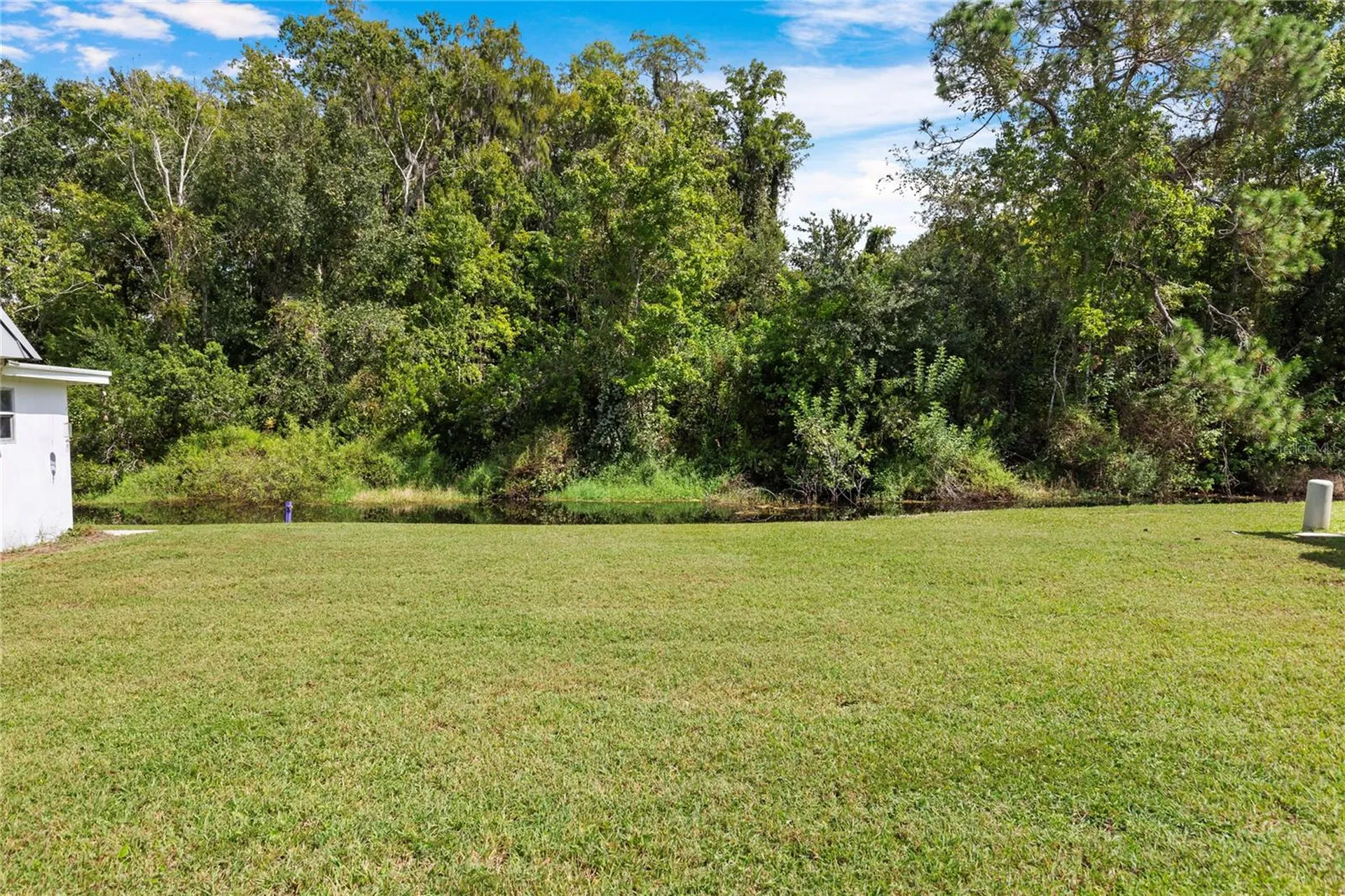 11730 Carissa Lane New Port Richey FL 34654