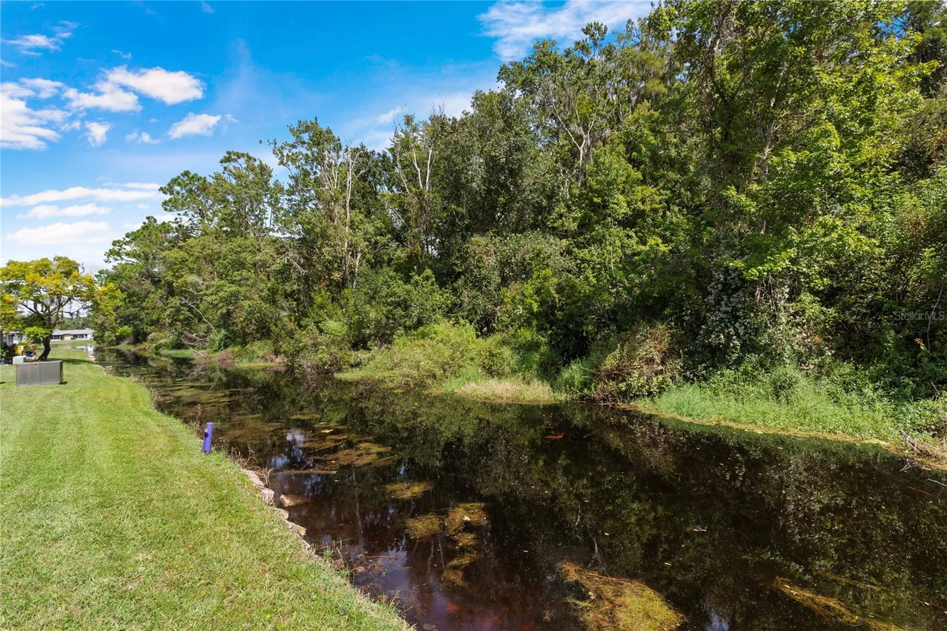 11730 Carissa Lane New Port Richey FL 34654