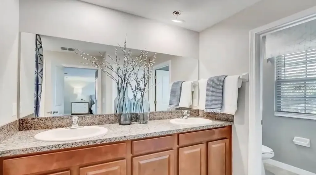 5059 White Chicory Drive Apollo Beach FL 33572