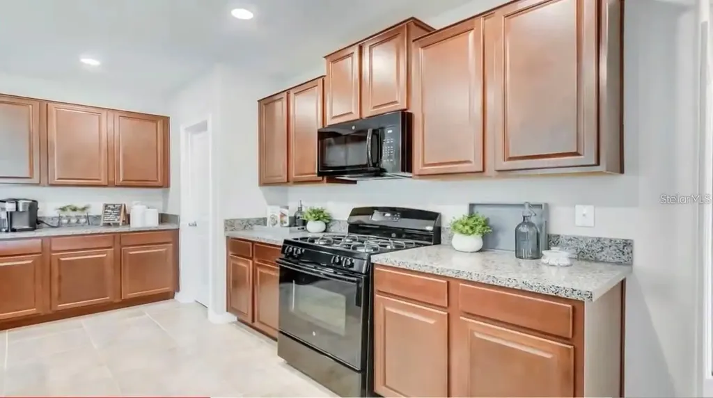 5059 White Chicory Drive Apollo Beach FL 33572