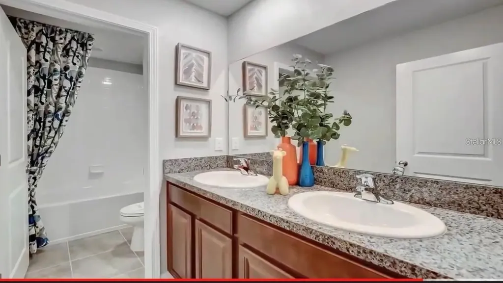 5059 White Chicory Drive Apollo Beach FL 33572