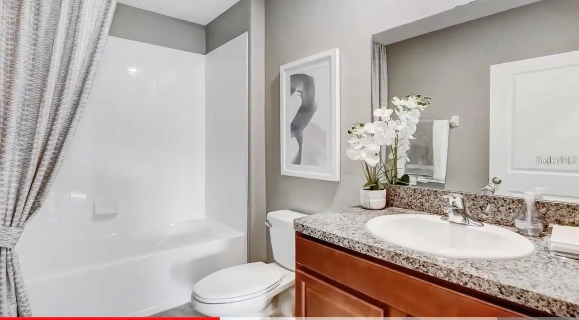 5059 White Chicory Drive Apollo Beach FL 33572
